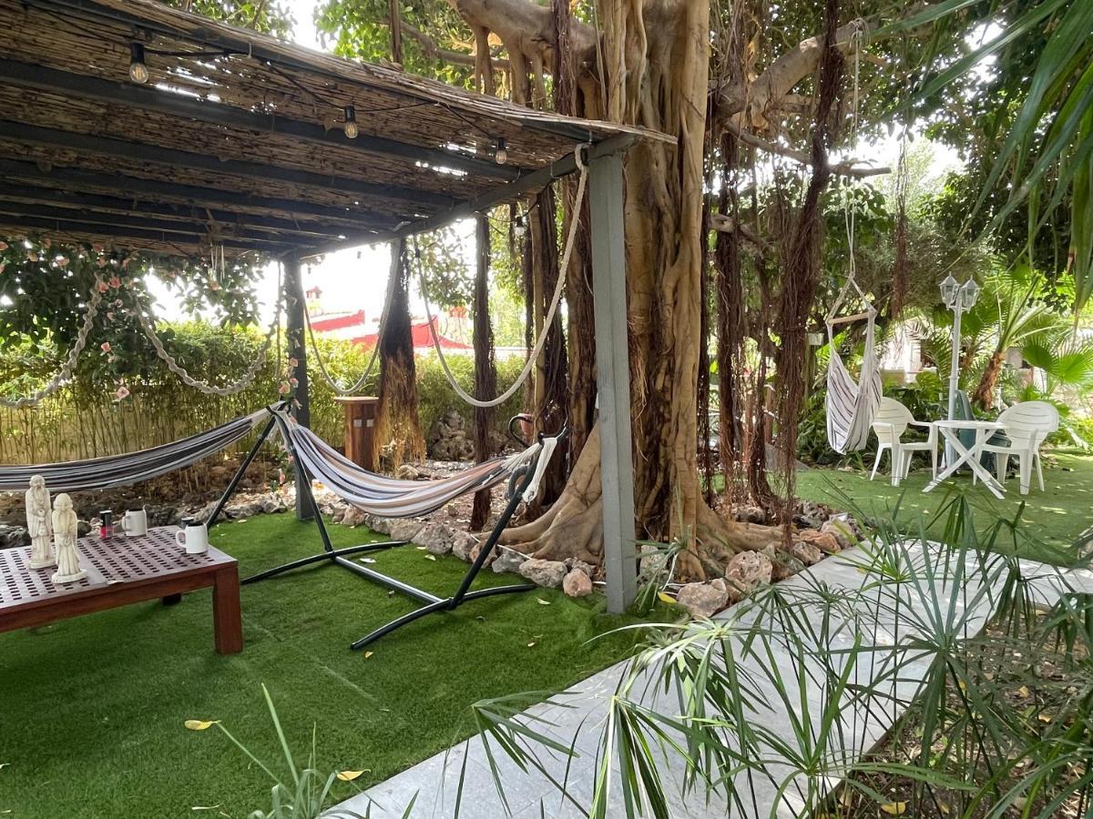 Suite Privada Frente A La Piscina Para 2 Personas Con Sofa Cama Para 2 Mas 4P No Es Casa Completa San Vicente Raspeig Extérieur photo